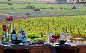 Wine Tasting Experience Casas del Bosque