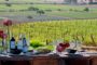 Wine Tasting Experience Casas del Bosque