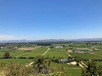 Montes Vineyard Tour