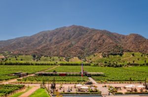 Santiago to Winery Montes Private Transfer